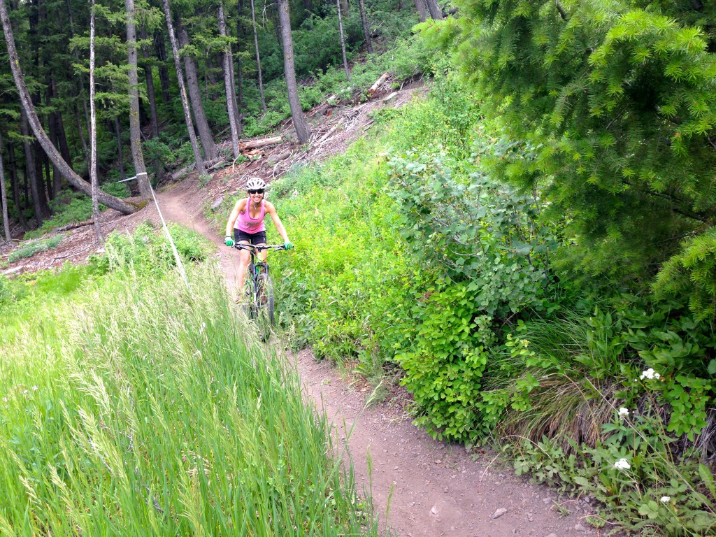 sun valley bike