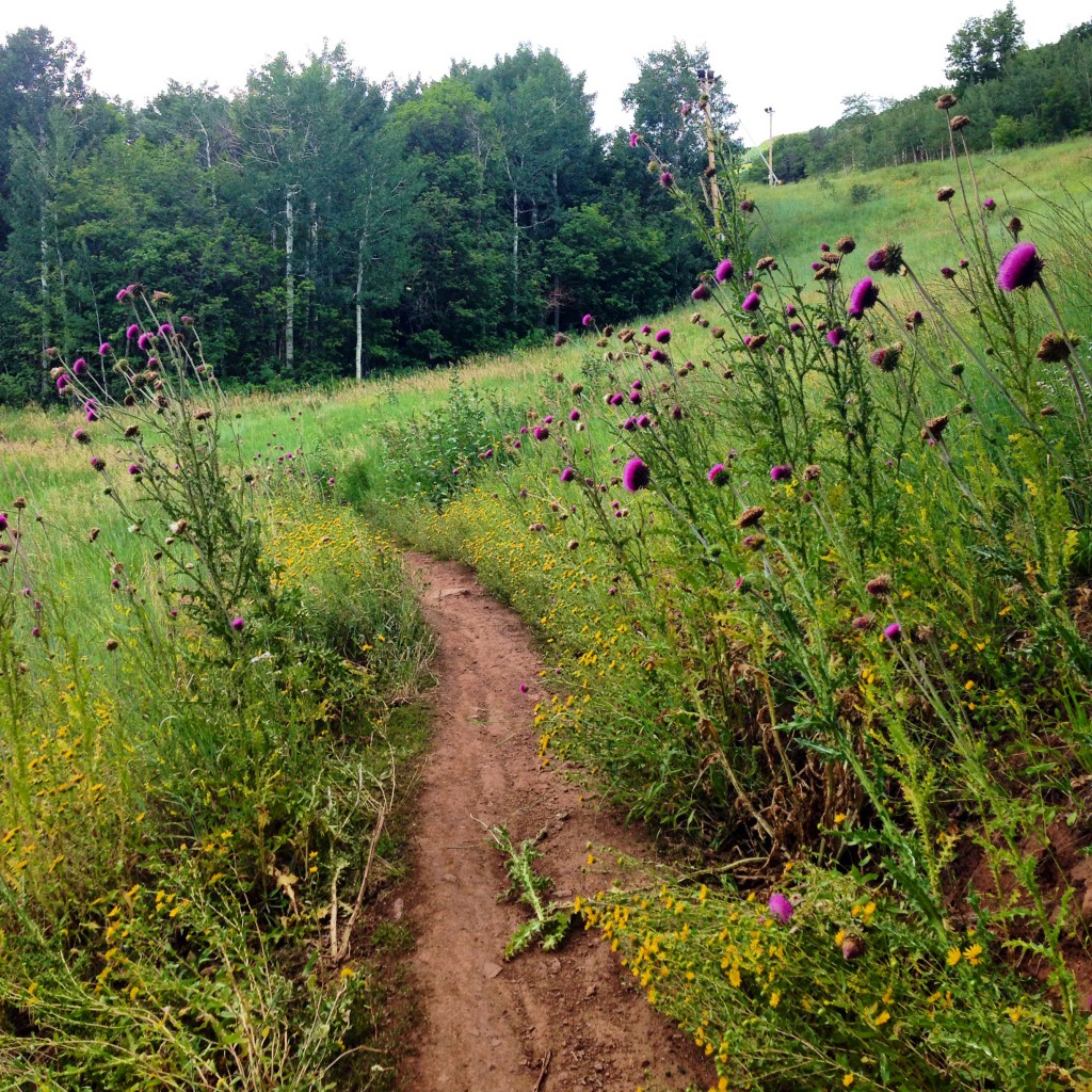 park city trail
