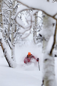 photo of skier at deer valley