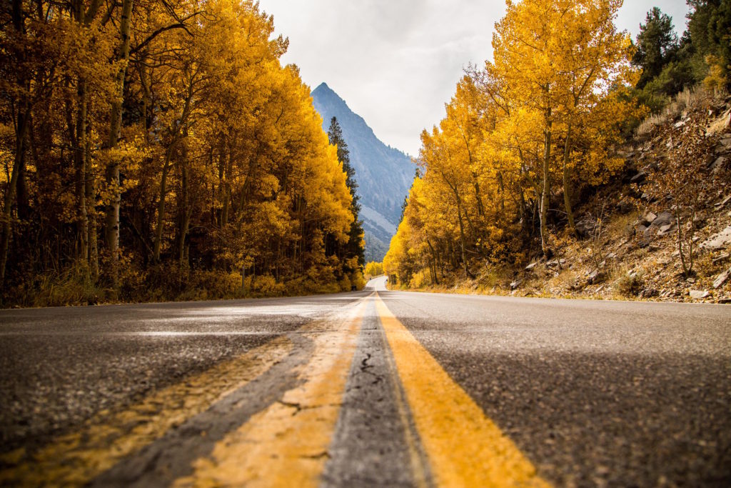 Fall Color June Lake