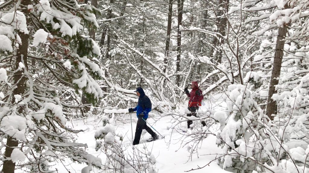 Millcreek Canyon Winter Hiking